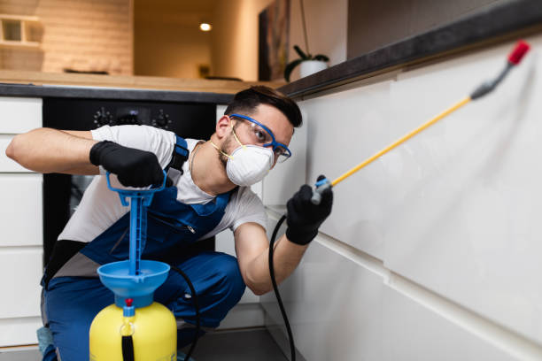 Best Pest Removal Services  in Sebastian, FL